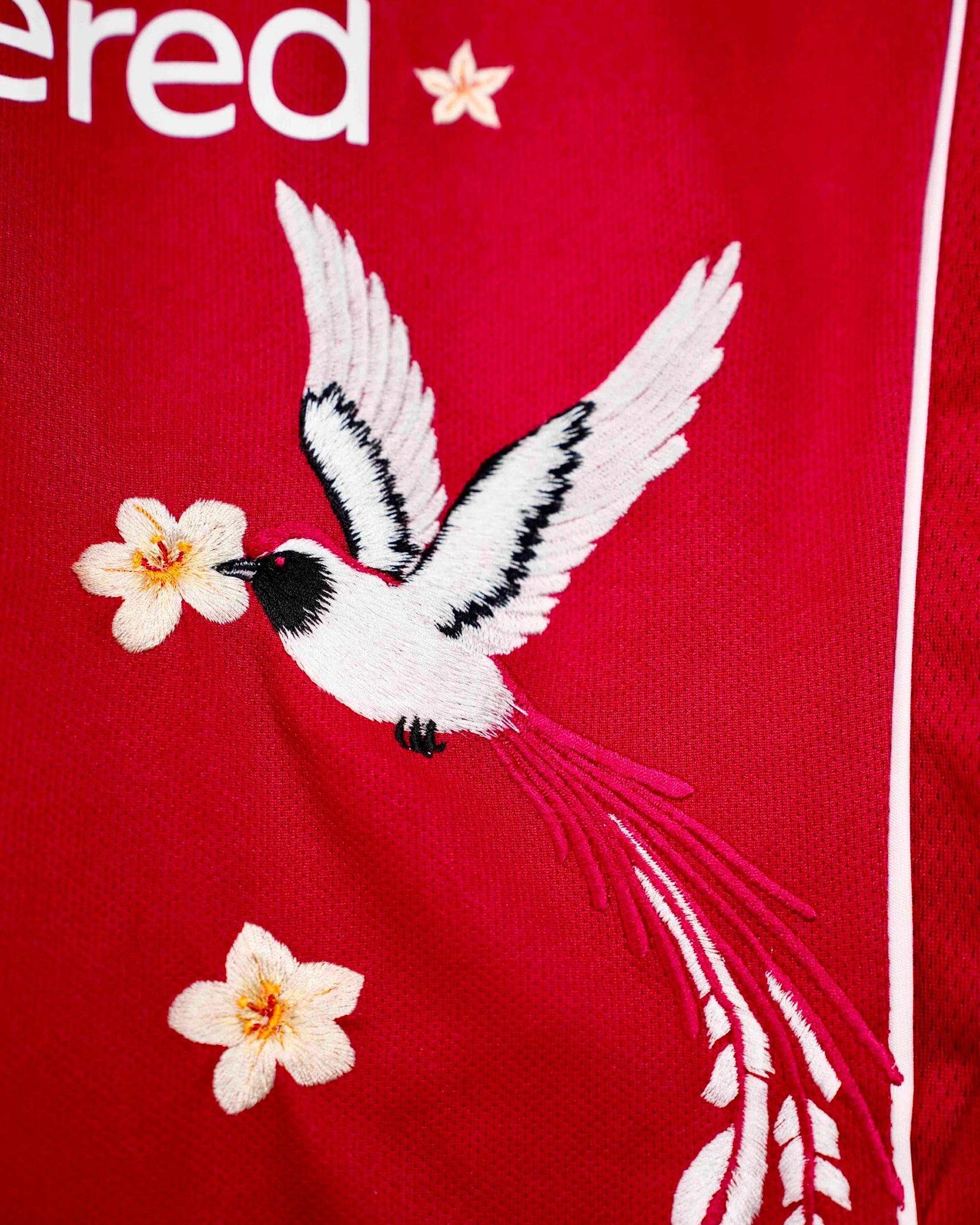 Tight close-up of one of the intricate red-tailed birds embroidered near the hem of the Liverpool 'Red Birds' Edition 2025-26 Jersey.