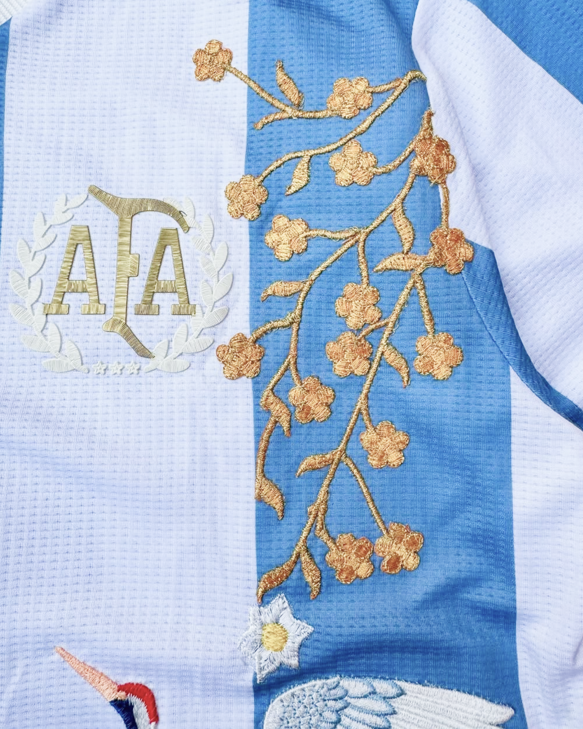 Embroidered Argentina 50th Anniversary jersey showing intricate embroidery on sky-blue and white fabric.